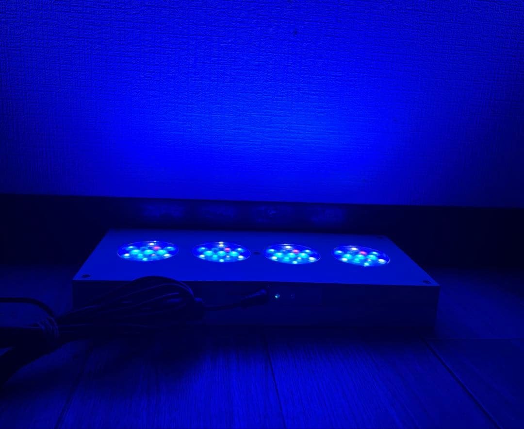 LEDライト AI Hydra ハイドラ52HD サンゴ
